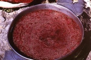 Porc au vin rouge et épices - Cormary 4