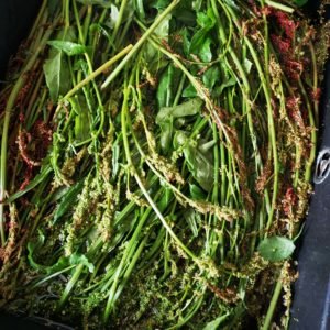 Faites tremper votre récolte d'oseille dans un bac rempli d'eau avec du vinaigre et du bicarbonate