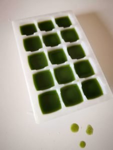 Comment faire du verjus à l'oseille ? 2