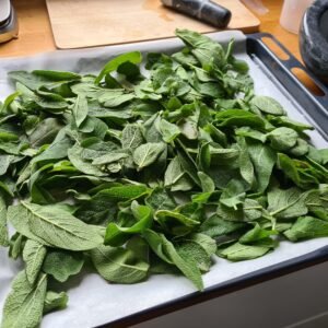 Séparer les feuilles des tiges et faire sécher (au four, 150°c, porte ouverte par exemple)