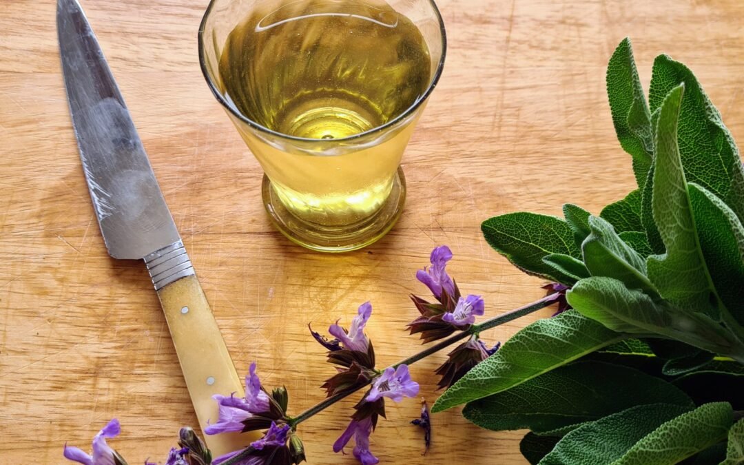Vin de Sauge – Saugée d’après le Tractatus (XIII°)